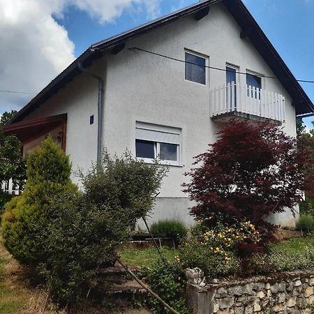 Rooms Luka Selište Drežničko Eksteriør bilde