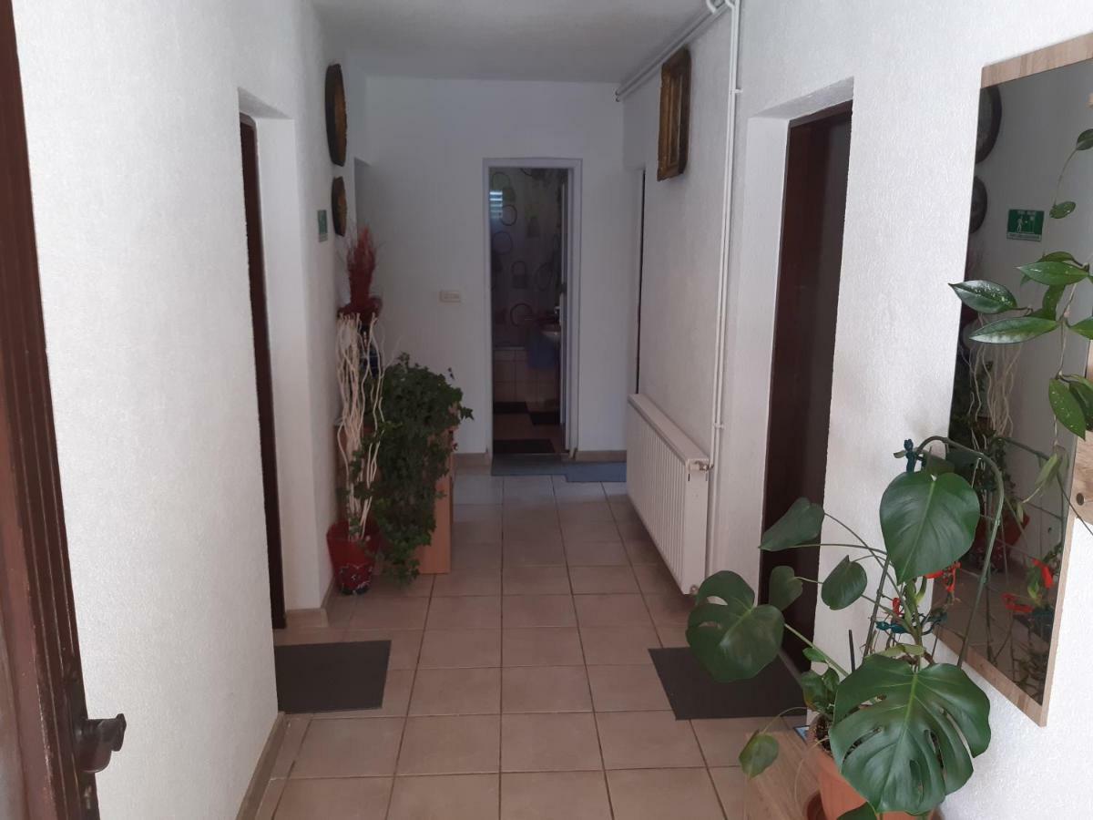 Rooms Luka Selište Drežničko Eksteriør bilde