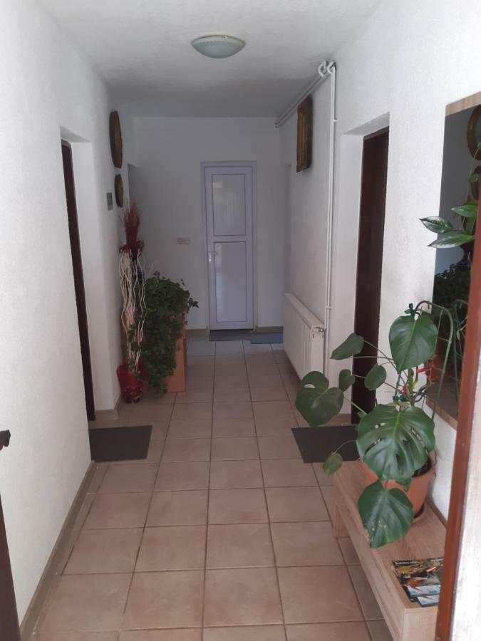 Rooms Luka Selište Drežničko Eksteriør bilde